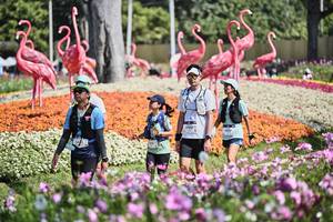 BIB: 
                            <button type="button" onclick="openModal(27794235)" class="btn btn-primary btn-sm float-right btn-popup" data-toggle="modal" data-target=".modal-high-quality">
                        <i class="fas fa-shopping-cart"></i> Add to Cart
                    </button>
                                            <button type="button" onclick="isThisMe(27794235, true)" class="btn btn-success btn-sm float-right btn-popup btn-isme hidden" data-toggle="tooltip" data-placement="bottom" title="นี่คือรูปของคุณใช่ไหม คลิกที่นี่เพื่อเอาเข้าอัลบั้ม">
                        <i class="fas fa-plus"></i> Add to album
                    </button>
                    <button type="button" onclick="isThisMe(27794235, false)" class="btn btn-warning btn-sm float-right btn-popup btn-isnotme hidden">
                        <i class="fas fa-ban"></i> Remove from album
                    </button>